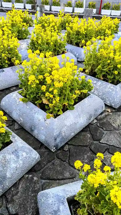 成田山新勝寺の自然