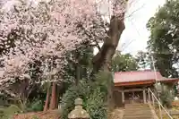 菅布禰神社の山門・神門