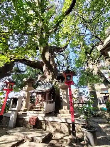 若一神社の自然
