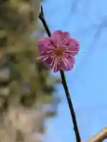 八幡神社(神奈川県)