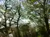 石船神社(岩船神社)の{uncategorized: "未分類", other: "その他", undefined: "問題あり", building: "その他建物", grave: "お墓", sacred_gate: "鳥居", guardian: "狛犬", statue: "像", buddha: "仏像", history: "歴史", nature: "自然", garden: "庭園", animal: "動物", pagoda: "塔", temizu: "手水舎", mountain_gate: "山門・神門", sanctuary: "本殿・本堂", subordinate: "末社・摂社", art: "芸術", scenery: "景色", jizo: "地蔵", ema: "絵馬", goshuin: "御朱印", omikuji: "おみくじ", items: "授与品その他", amulet: "お守り", goshuincho: "御朱印帳", eats: "食事", festival: "お祭り", votive_dance: "神楽", shichigosan: "七五三参", wedding: "結婚式", experience: "体験その他", initially: "初詣", around: "周辺", anti_infection: "感染症対策"}