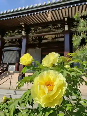 圓照寺の自然