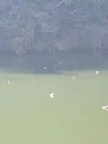 正法寺(京都府)