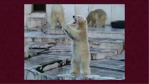 北海道神宮(北海道)