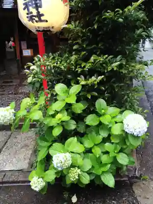 五十稲荷神社(栄寿稲荷神社)(東京都)