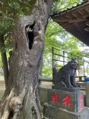 諏方神社(東京都)