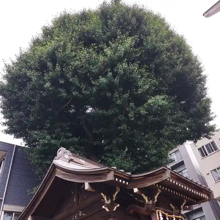瀧王子稲荷神社(東京都)