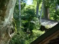 丹生川上神社（下社）(奈良県)