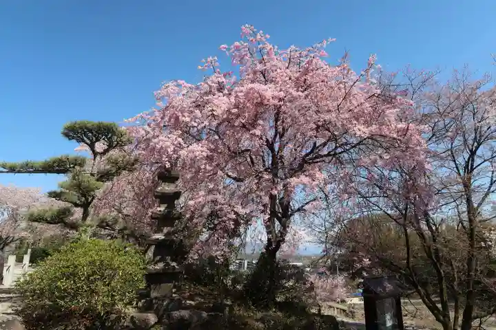 願成寺(山梨県)