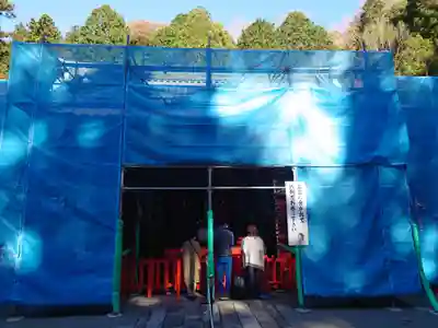 箱根神社の本殿・本堂