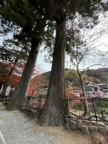 室生寺(奈良県)