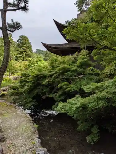 永保寺の庭園