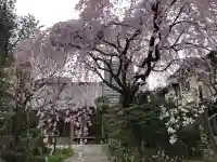 徳泉寺の{uncategorized: "未分類", other: "その他", undefined: "問題あり", building: "その他建物", grave: "お墓", sacred_gate: "鳥居", guardian: "狛犬", statue: "像", buddha: "仏像", history: "歴史", nature: "自然", garden: "庭園", animal: "動物", pagoda: "塔", temizu: "手水舎", mountain_gate: "山門・神門", sanctuary: "本殿・本堂", subordinate: "末社・摂社", art: "芸術", scenery: "景色", jizo: "地蔵", ema: "絵馬", goshuin: "御朱印", omikuji: "おみくじ", items: "授与品その他", amulet: "お守り", goshuincho: "御朱印帳", eats: "食事", festival: "お祭り", votive_dance: "神楽", shichigosan: "七五三参", wedding: "結婚式", experience: "体験その他", initially: "初詣", around: "周辺", anti_infection: "感染症対策"}