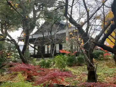 四天王寺(大阪府)