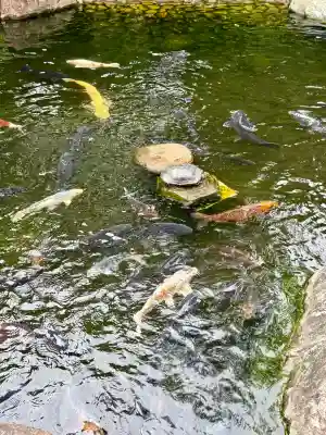 香福寺(神奈川県)