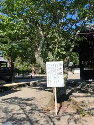 粉河寺(和歌山県)