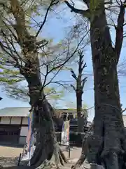 八枝神社(埼玉県)