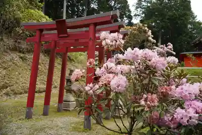 金刀比羅神社(奈良県)