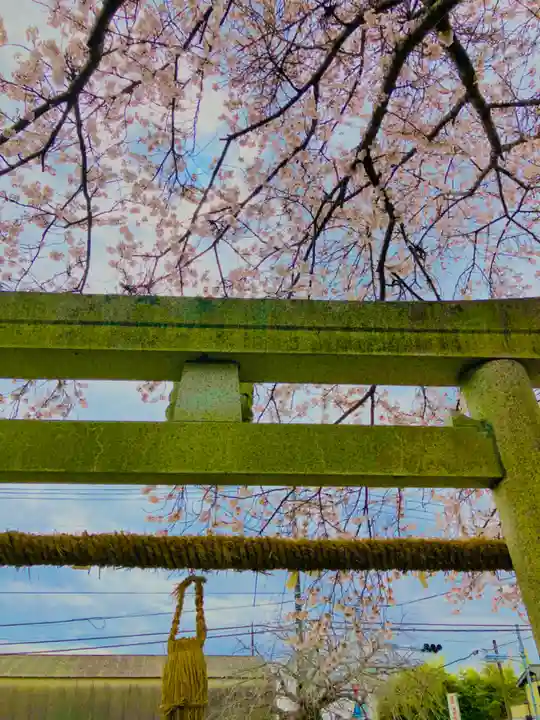 鹿嶋神社(茨城県)