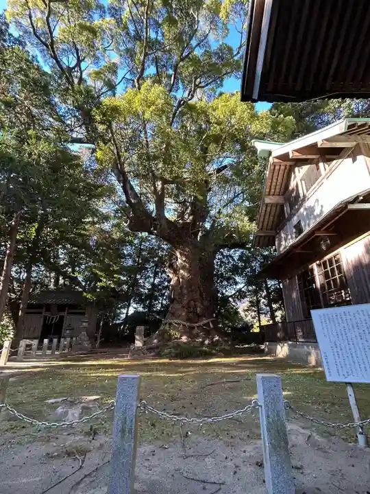 川津来宮神社(静岡県)