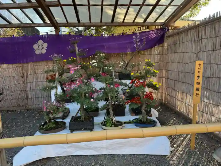 亀戸天神社(東京都)