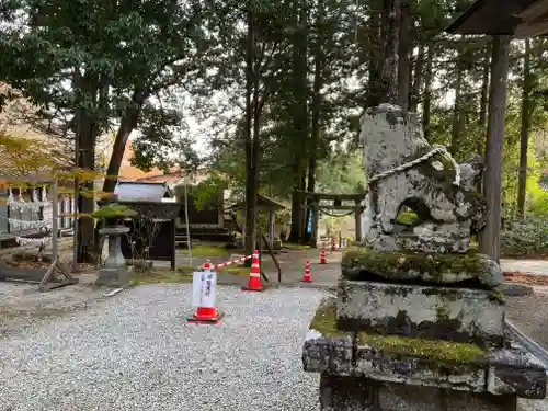 駒ヶ嶽神社（前宮）の狛犬