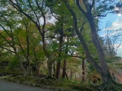 毘沙門堂門跡の自然