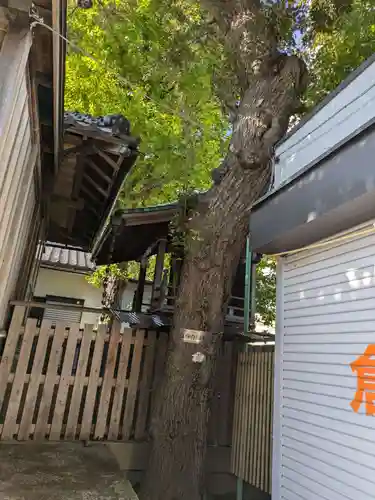 元宿神社(東京都)