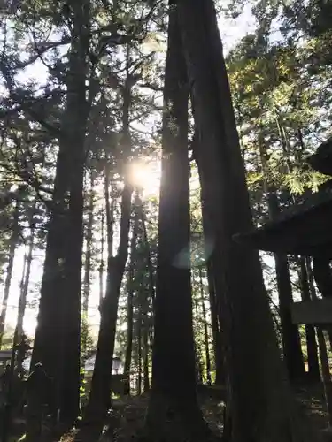 赤城神社(三夜沢町)の自然