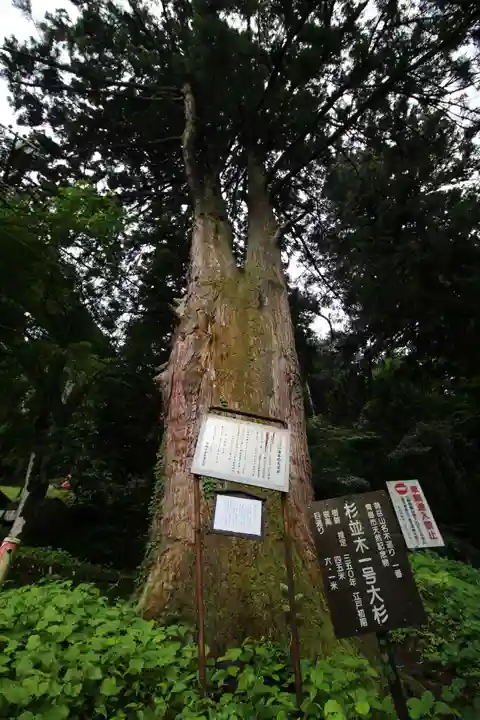 武蔵御嶽神社の自然
