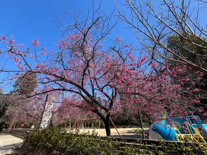 冠稲荷神社(群馬県)