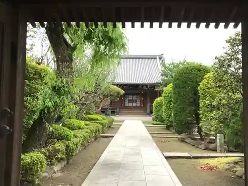 蓮光寺の本殿