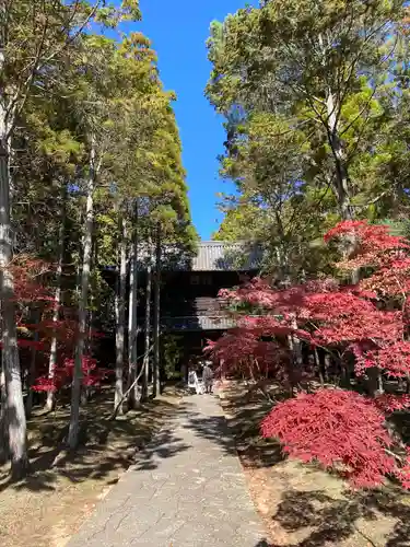 曹源寺の建物その他