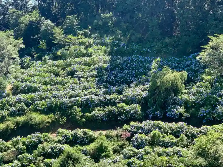 妙法生寺(千葉県)