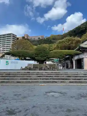 照國神社(鹿児島県)