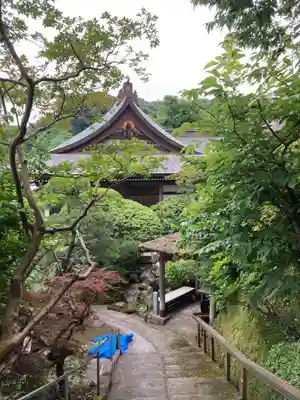 妙高院(神奈川県)