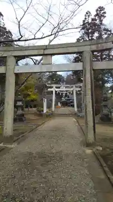 橘樹神社の鳥居
