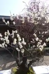 菅原天満宮（菅原神社）(奈良県)