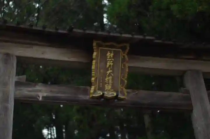 熊野本宮大社の{uncategorized: "未分類", other: "その他", undefined: "問題あり", building: "その他建物", grave: "お墓", sacred_gate: "鳥居", guardian: "狛犬", statue: "像", buddha: "仏像", history: "歴史", nature: "自然", garden: "庭園", animal: "動物", pagoda: "塔", temizu: "手水舎", mountain_gate: "山門・神門", sanctuary: "本殿・本堂", subordinate: "末社・摂社", art: "芸術", scenery: "景色", jizo: "地蔵", ema: "絵馬", goshuin: "御朱印", omikuji: "おみくじ", items: "授与品その他", amulet: "お守り", goshuincho: "御朱印帳", eats: "食事", festival: "お祭り", votive_dance: "神楽", shichigosan: "七五三参", wedding: "結婚式", experience: "体験その他", initially: "初詣", around: "周辺", anti_infection: "感染症対策"}