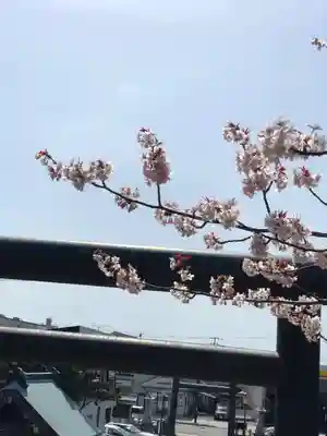 浦河神社の自然