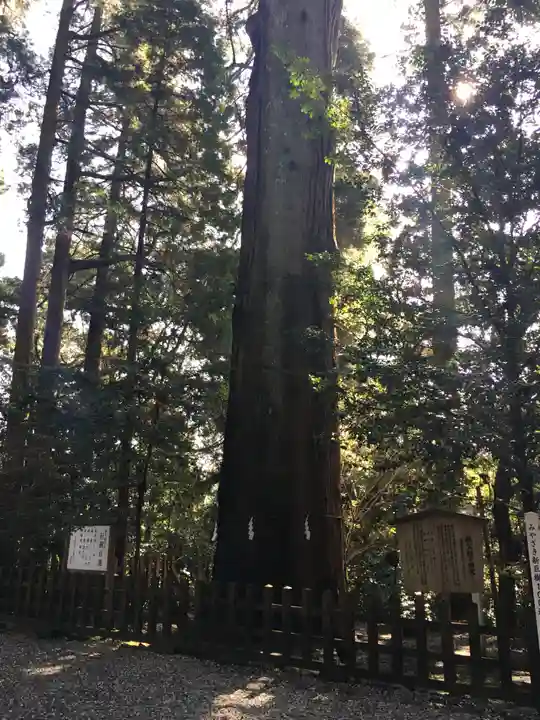 高千穂神社の自然