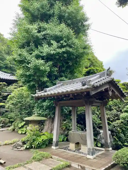 本蓮寺の手水舎