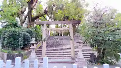 白山神社(新栄)の鳥居