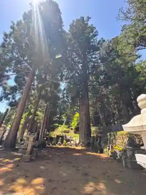 高野山金剛峯寺奥の院(和歌山県)