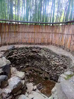 隨心院(随心院)(京都府)