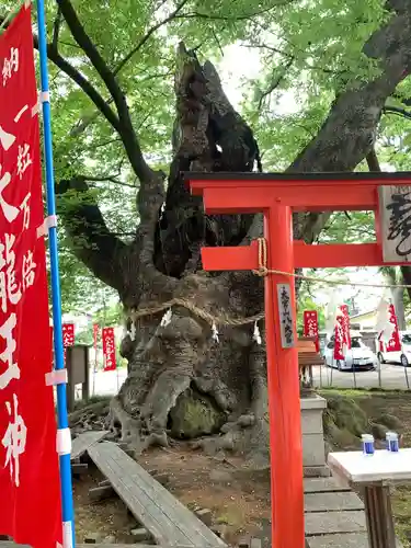 秩父今宮神社の鳥居