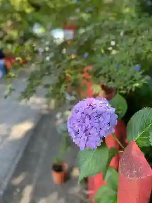 川越八幡宮(埼玉県)