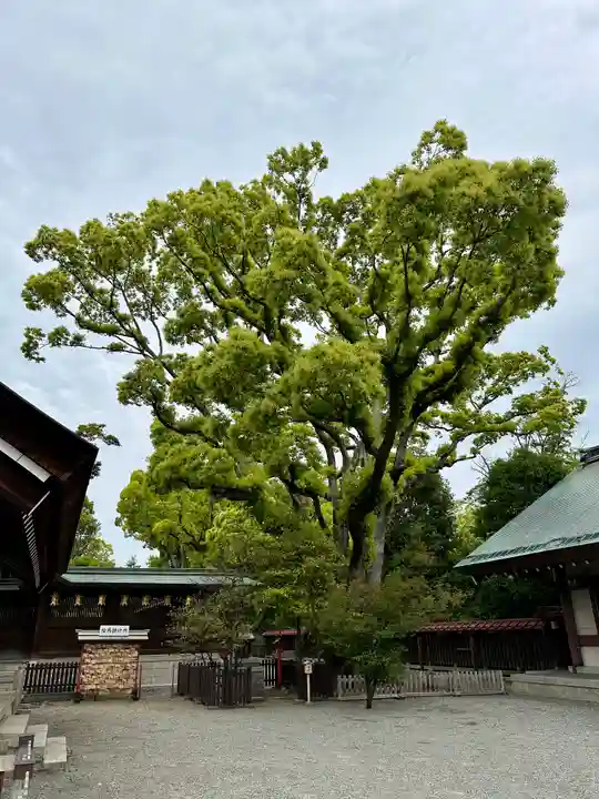 和泉國一之宮 大鳥大社(大阪府)