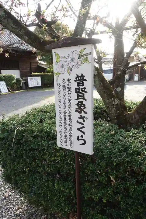 大報恩寺(千本釈迦堂)(京都府)