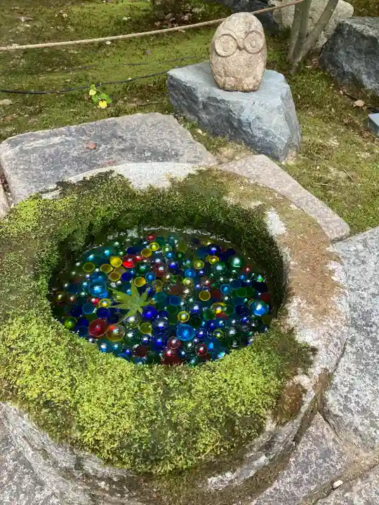 勝林寺(京都府)